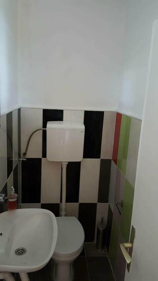 Hostel Belgrade Shungit Dragana Jeftica Br 10 Экстерьер фото